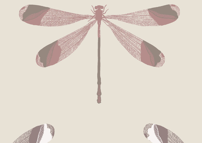 Dragonfly Print, Estate Pink - Twist&Fit Roller Blind - Image 6